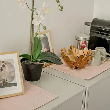 Appartement 1bd With 1 Sofa Bd With Lift 3